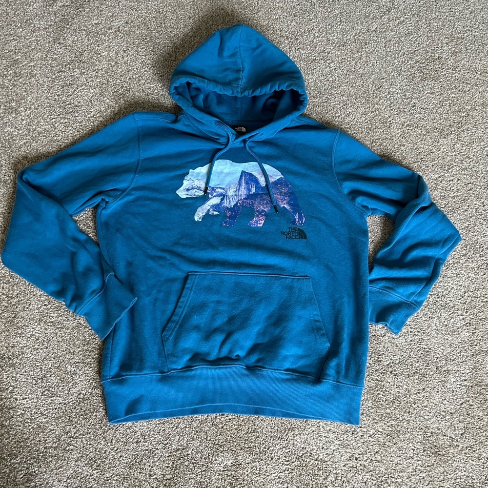 blue The North Face hoodie